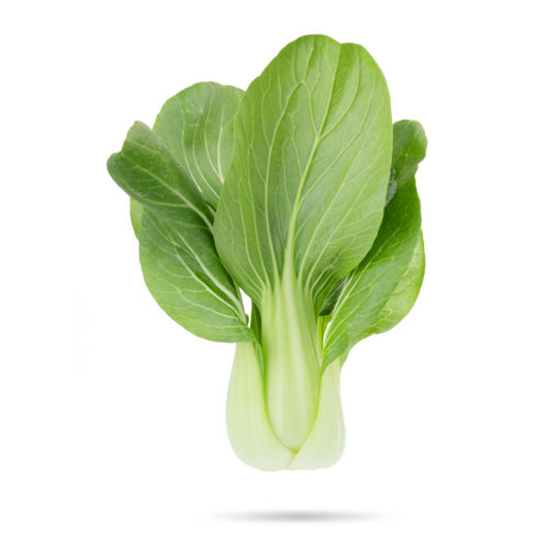 Picture of Pak choi - Pre Pack