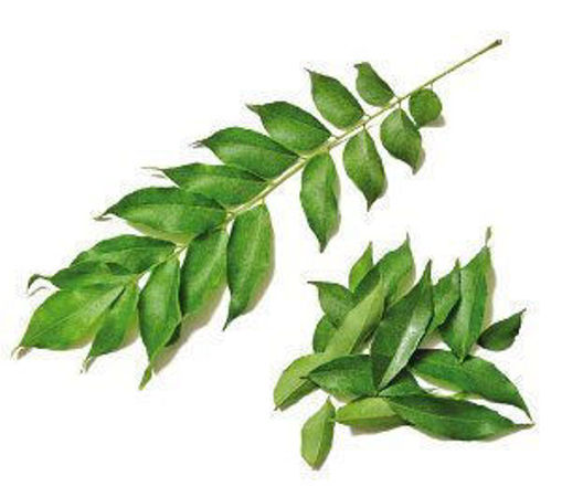 Picture of Curry Leaf - Per kg