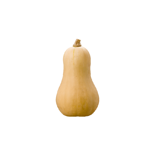 Picture of Butternut - Each