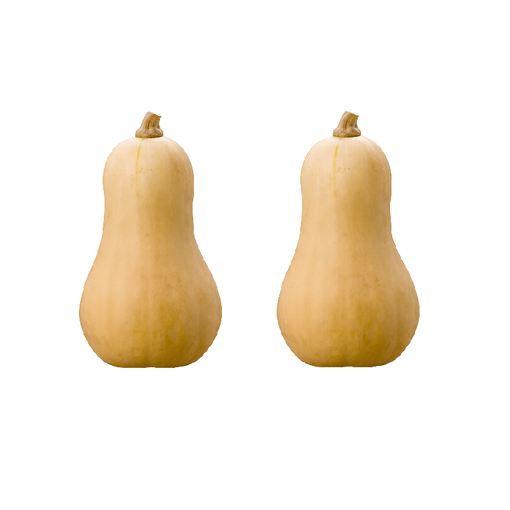 Picture of Butternut - 2's