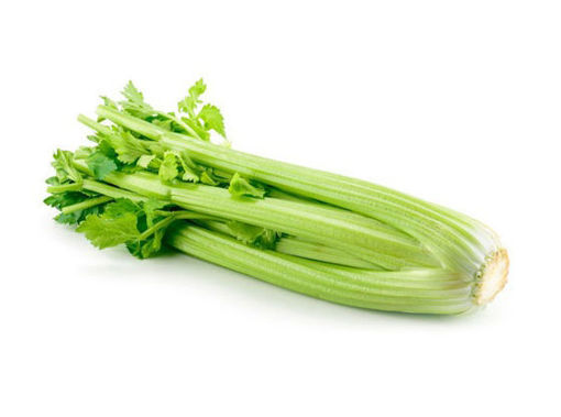 Picture of Celery - Sleeve