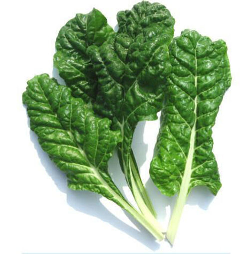 Picture of Spinach Prepack - 200g