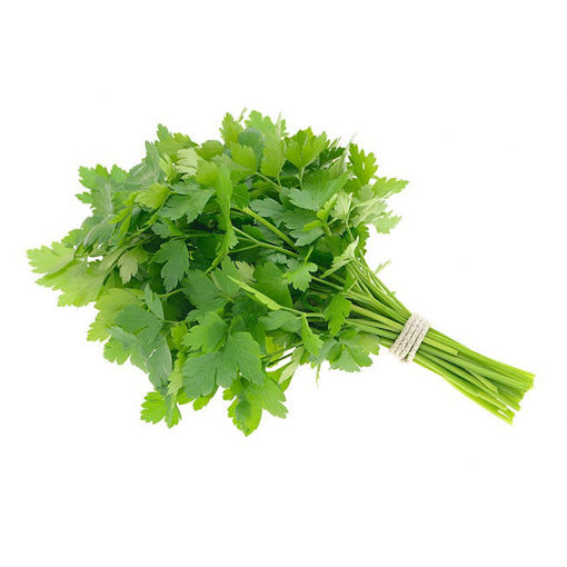 Picture of Italian Parsley  - 30g