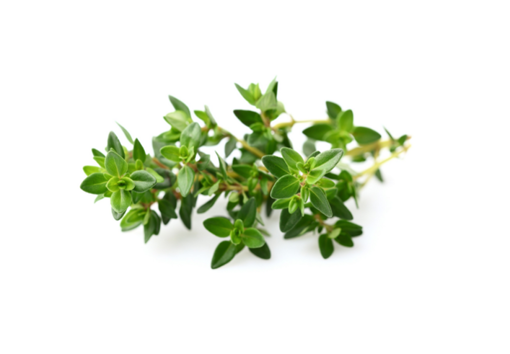 Picture of Thyme - 30g