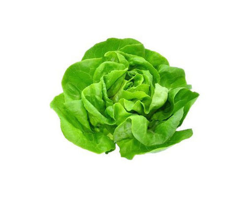 Picture of Butter Lettuce - Pillow Pack 200g