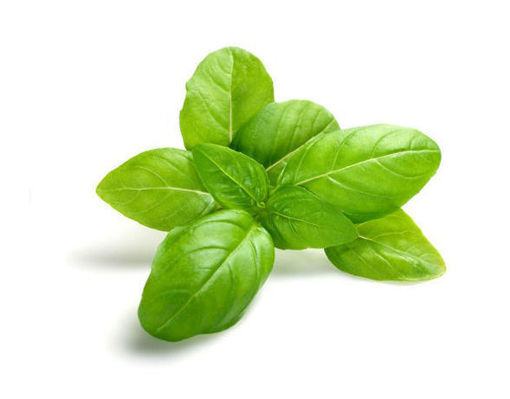 Picture of Basil - 100g