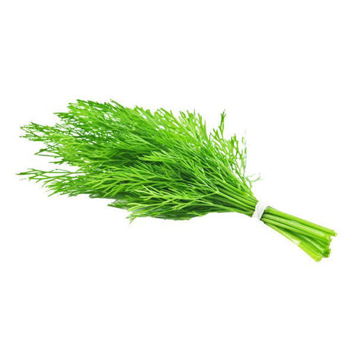 Picture of Dill - 100g
