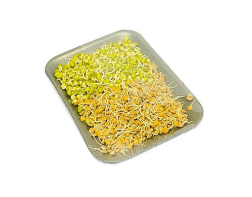 Picture of Bean Sprouts