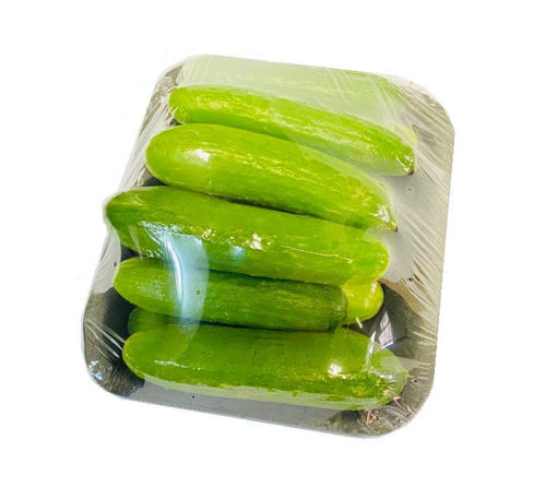 Picture of Gherkin - Pre Pack
