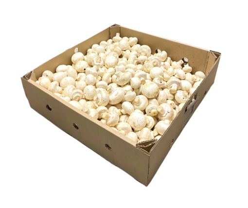 Picture of Mushroom White Button - 5kg Box